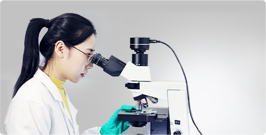 R&D Platform